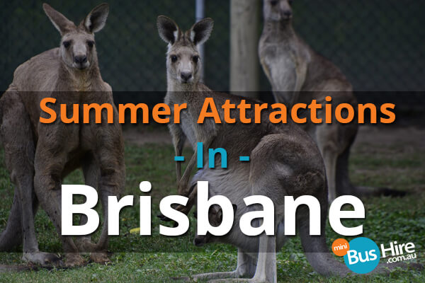 Summer Attractions In Brisbane
