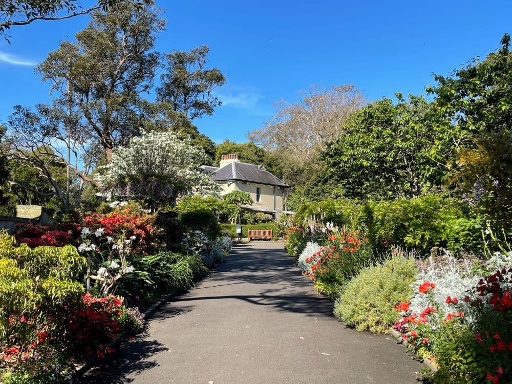 Best Days Out For Church Groups In Sydney
