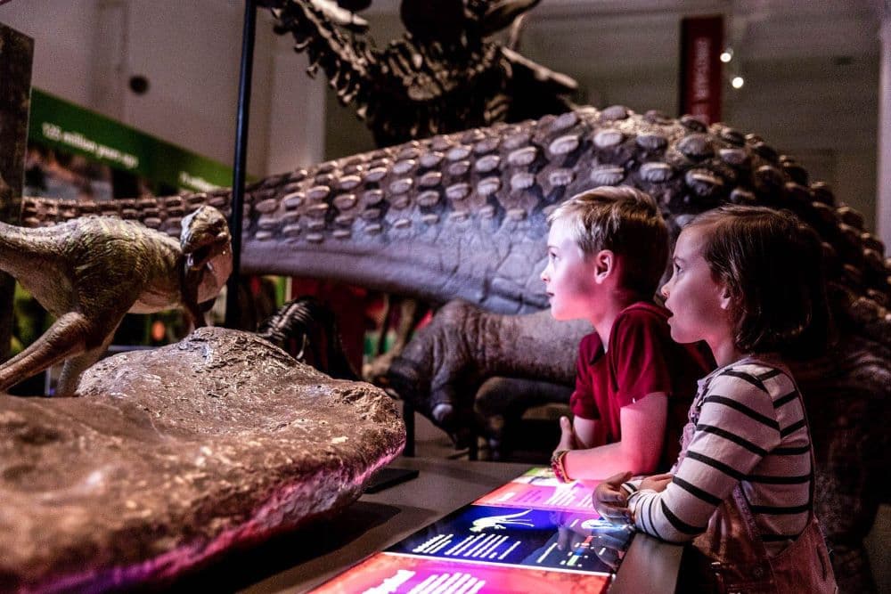 Best Days Out For School Groups In Sydney