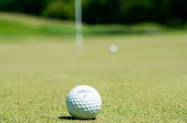 Best Days Out For Sports Fans In Sydney