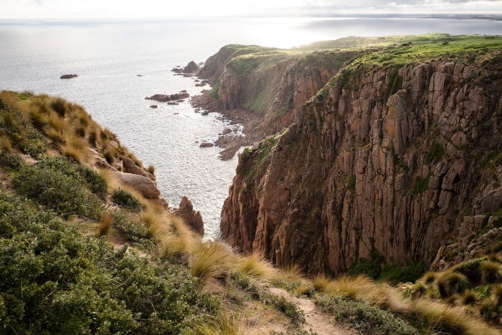 Best Days Out for Church Groups in Melbourne: Faith, Fun, and Fellowship