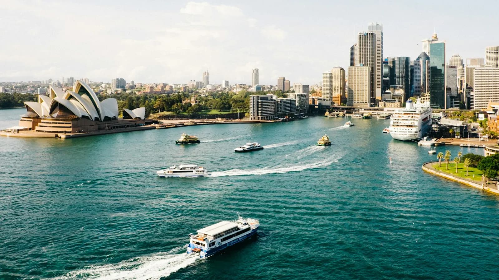 Sydney harbour and city skyline
