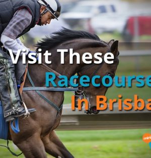 Visit These Racecourses In Brisbane!